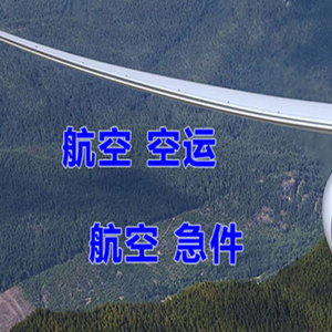 奔牛机场托运快递-选东方航空和上海航空
