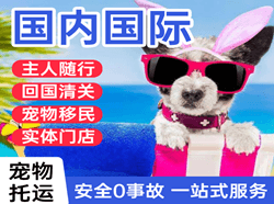 奔牛机场托运国际宠物托运 【国